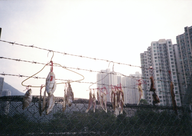 IMG_20140117_0003 640