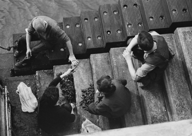 IMG_20130523_0041 dpp 640