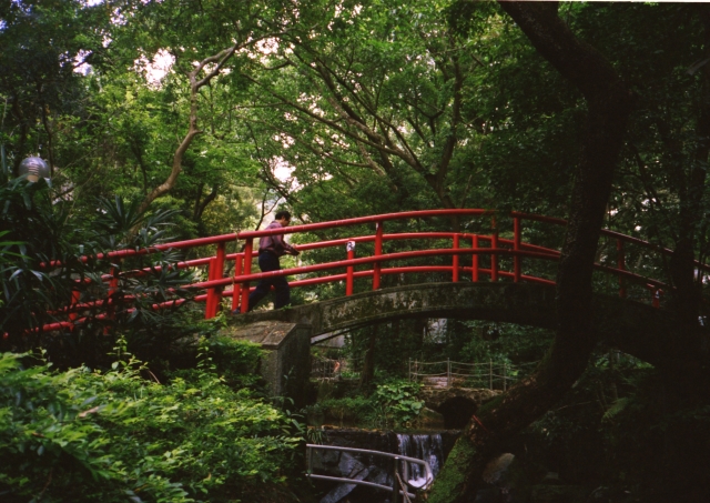 IMG_20140415_0019 640