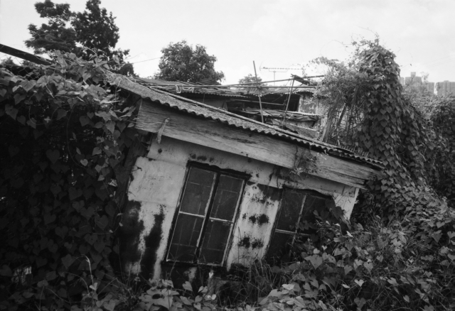 IMG_20140829_0020 640