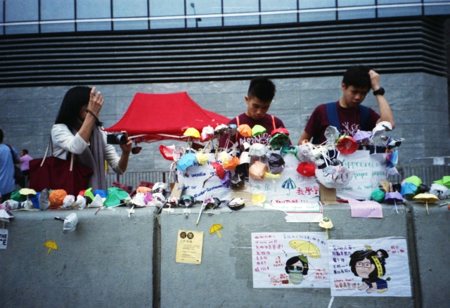 IMG_20141105_0007 640