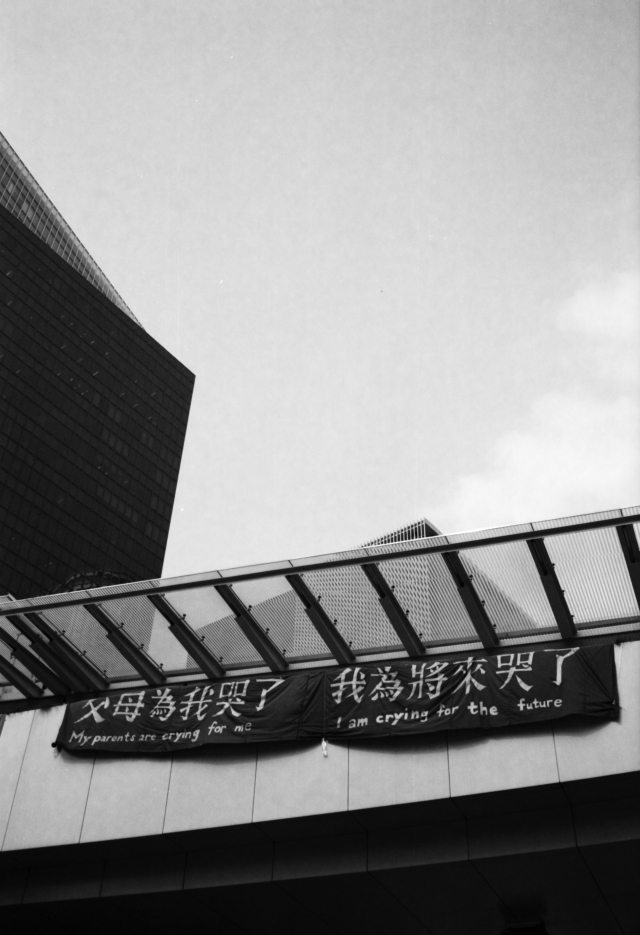 IMG_20141121_0001 640