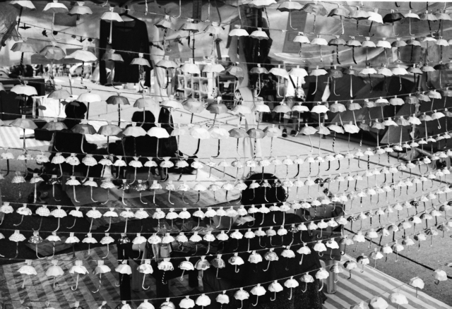 IMG_20141121_0030 640