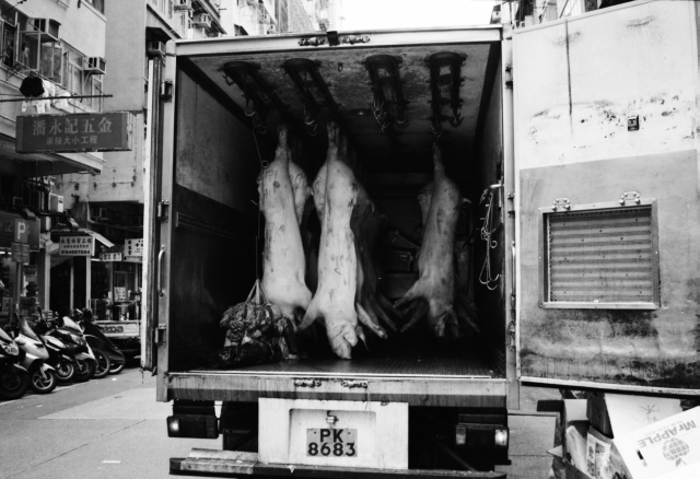 IMG_20150427_0002 640