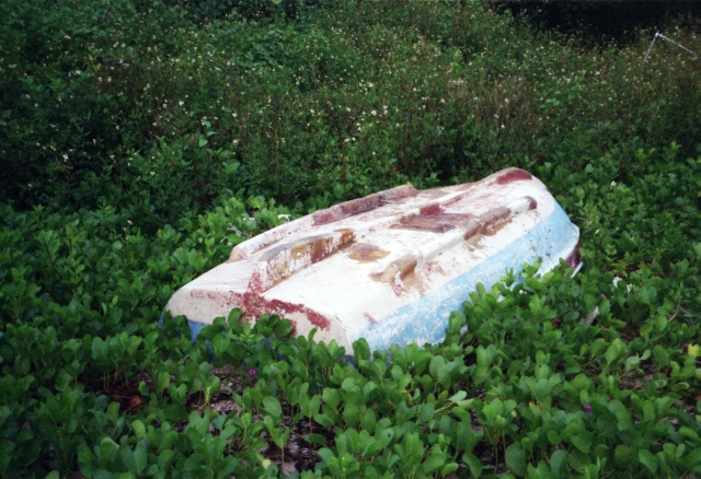 IMG_20150929_0027 640