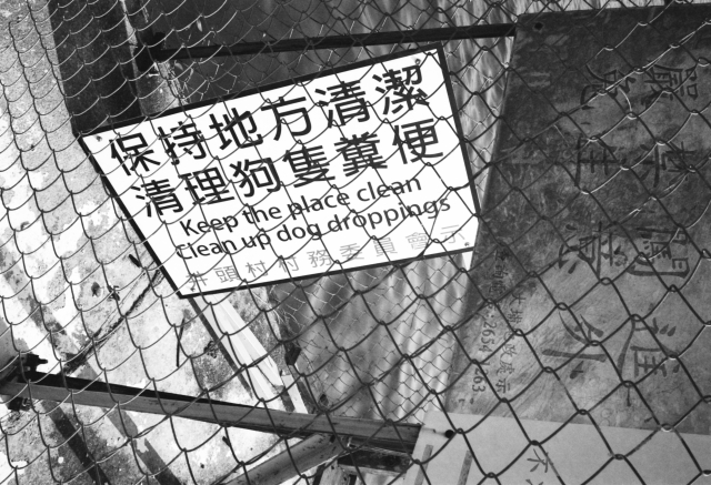 IMG_20151126_0007 640