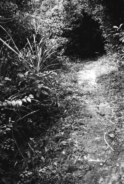 IMG_20151126_0019 640