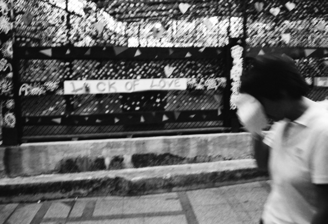 IMG_20151126_0022 640