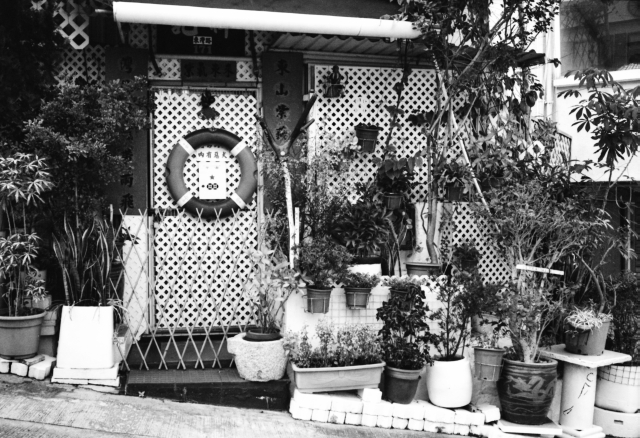 IMG_20151126_0026 640