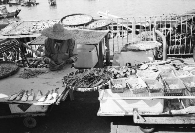 IMG_20151127_0030 640