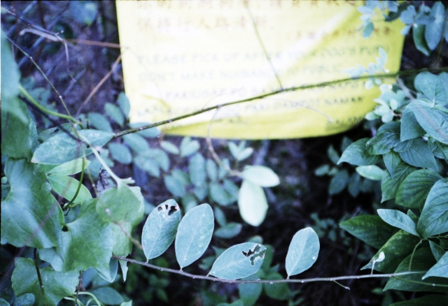 IMG_20151201_0001 640