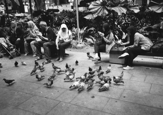 IMG_20160812_0016 640