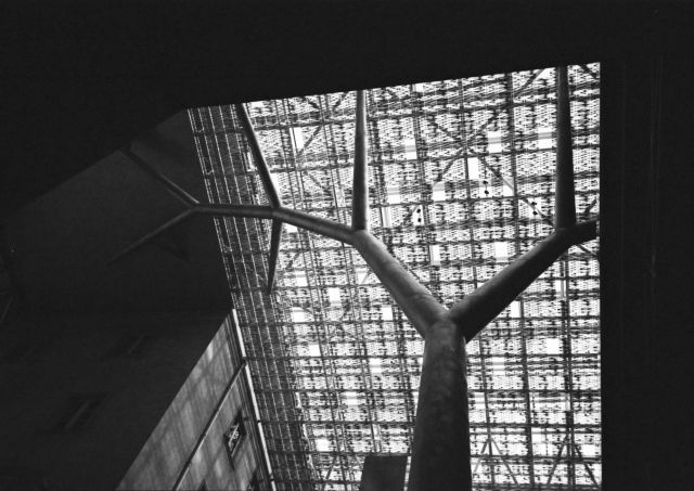 IMG_20160812_0026 640