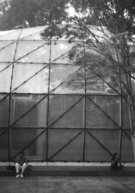 IMG_20160815_0004 640.jpg