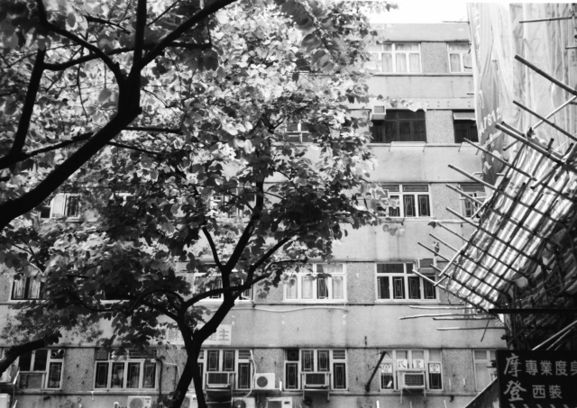 img_20160812_0005-640