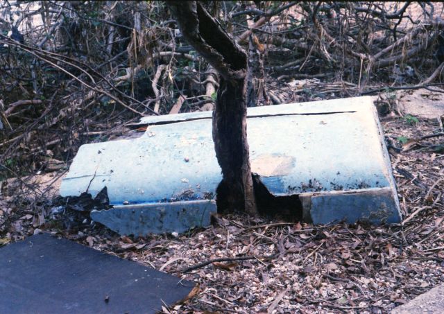 IMG_20200812_0053 640