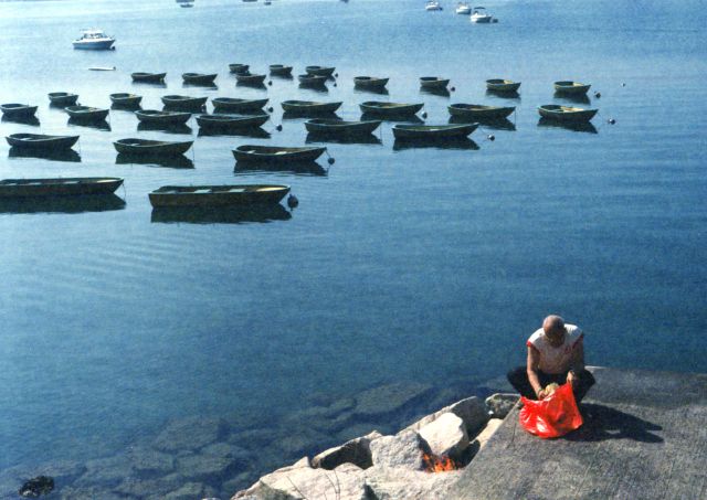 IMG_20200812_0060 640