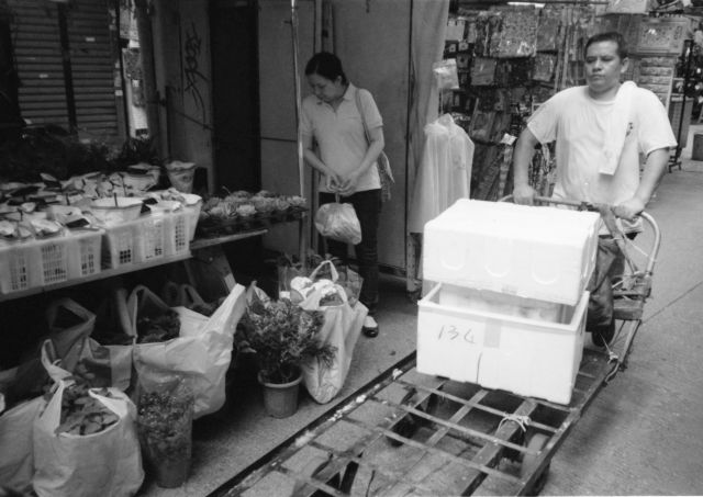 IMG_20200817_0017 640